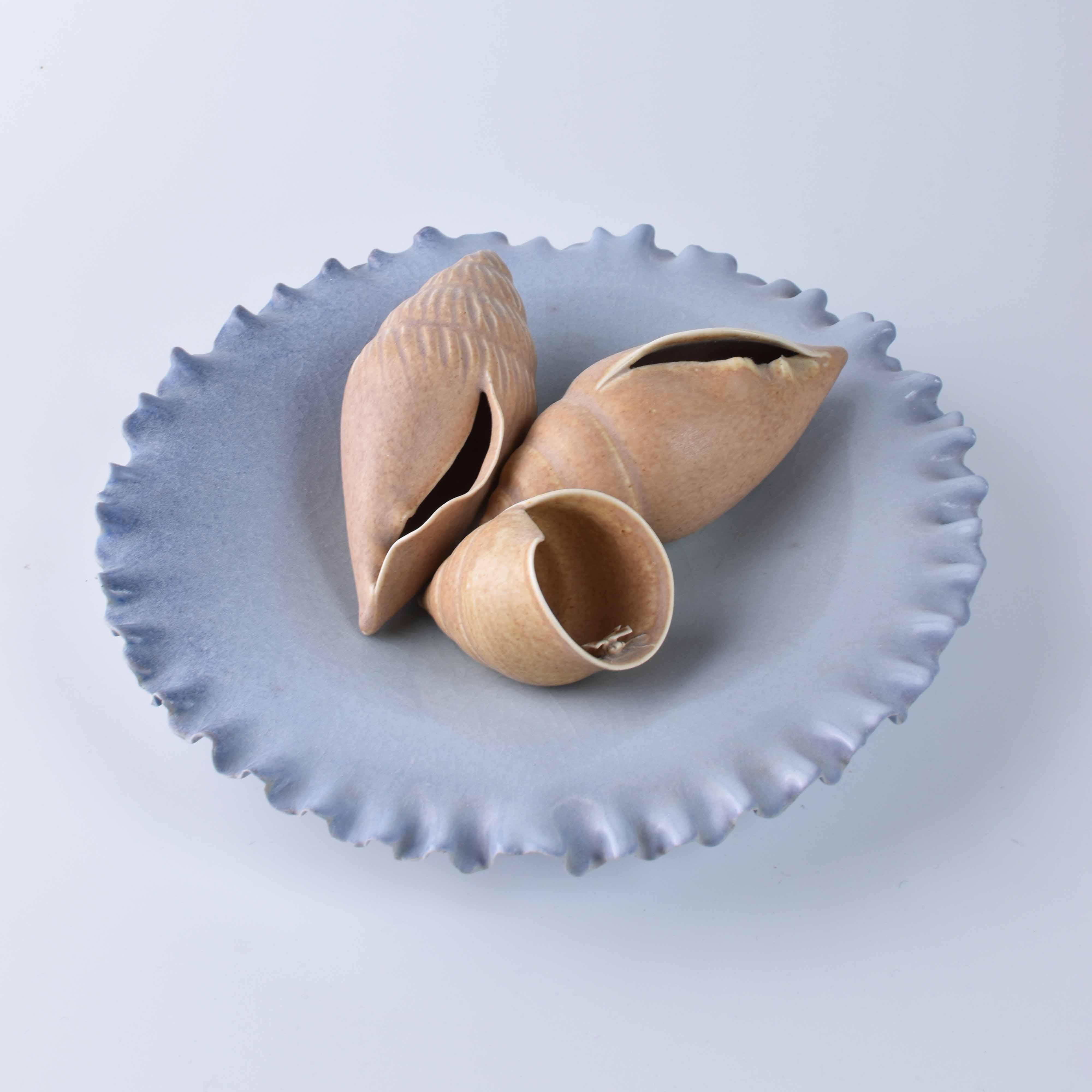 shells_02