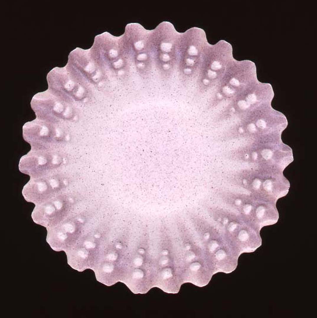 bowl 07
