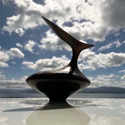 birdform birdform4