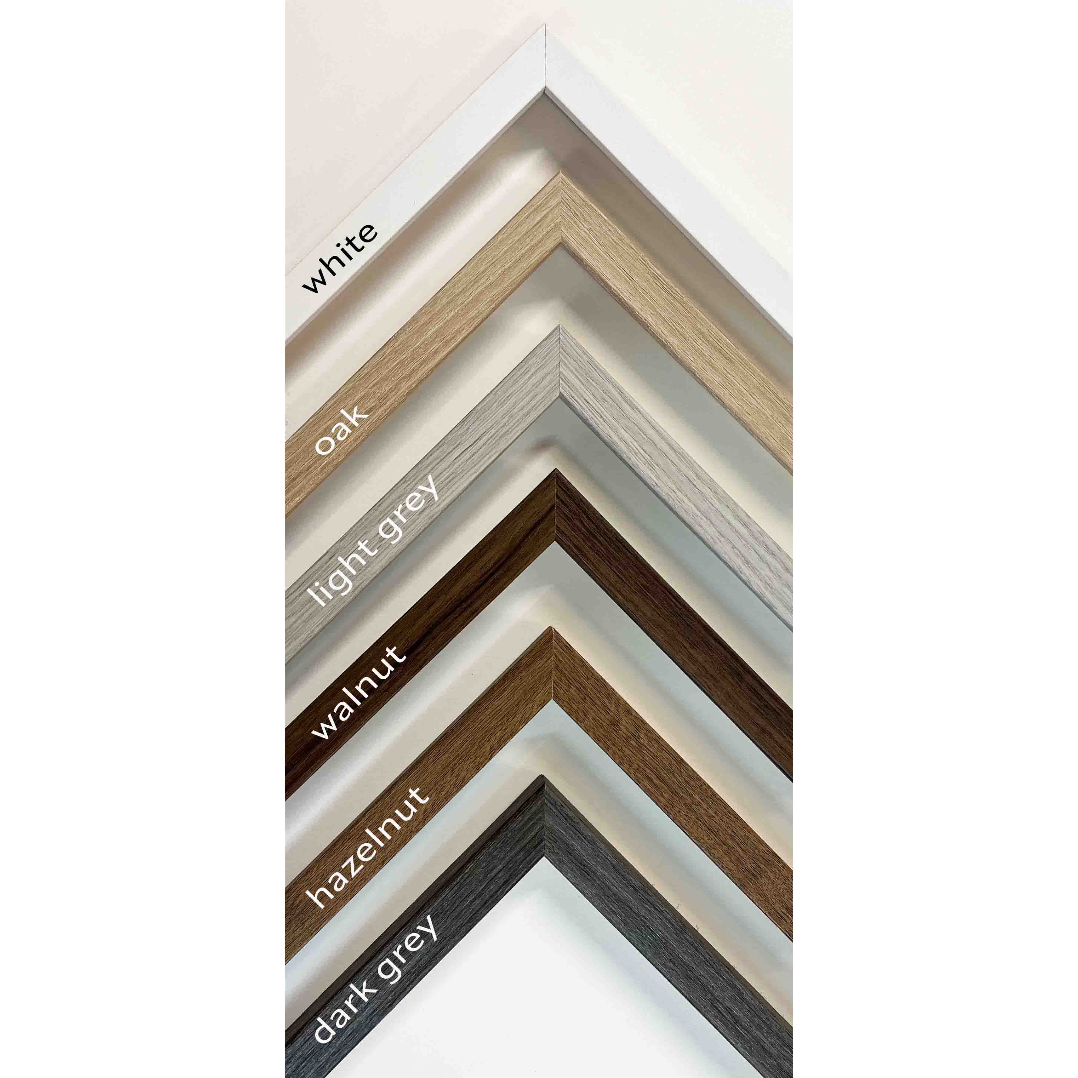 frame type frame type